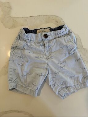 Light Blue Shark Print Kids Shorts